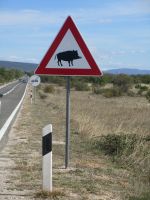 Warnung vor Wildschweinen
