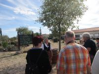 Zu Besuch im Etno-Land