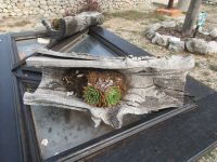 Zu Besuch im Etno-Land