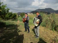 Mandarinenernte im Neretva-Delta