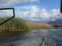 Schifffahrt im Neretva-Delta