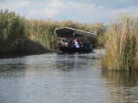Schifffahrt im Neretva-Delta