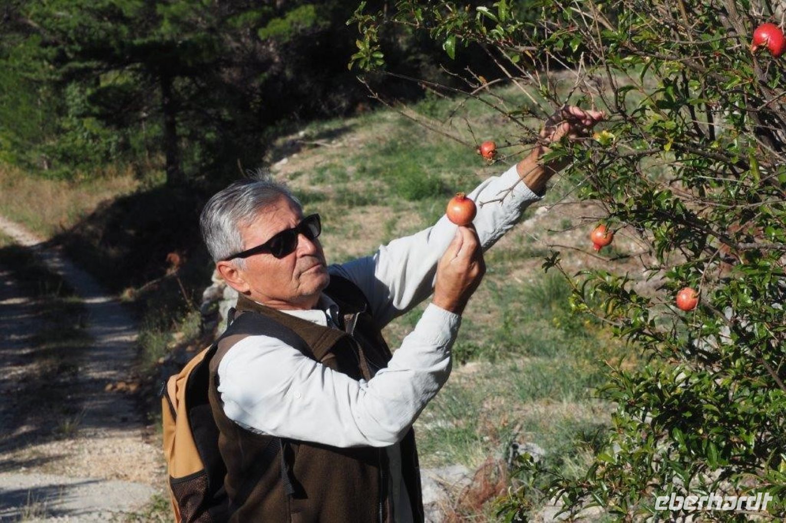 PA160042, Granatäpfel.jpg