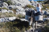 PA170081, Bergmassiv Mosor.jpg