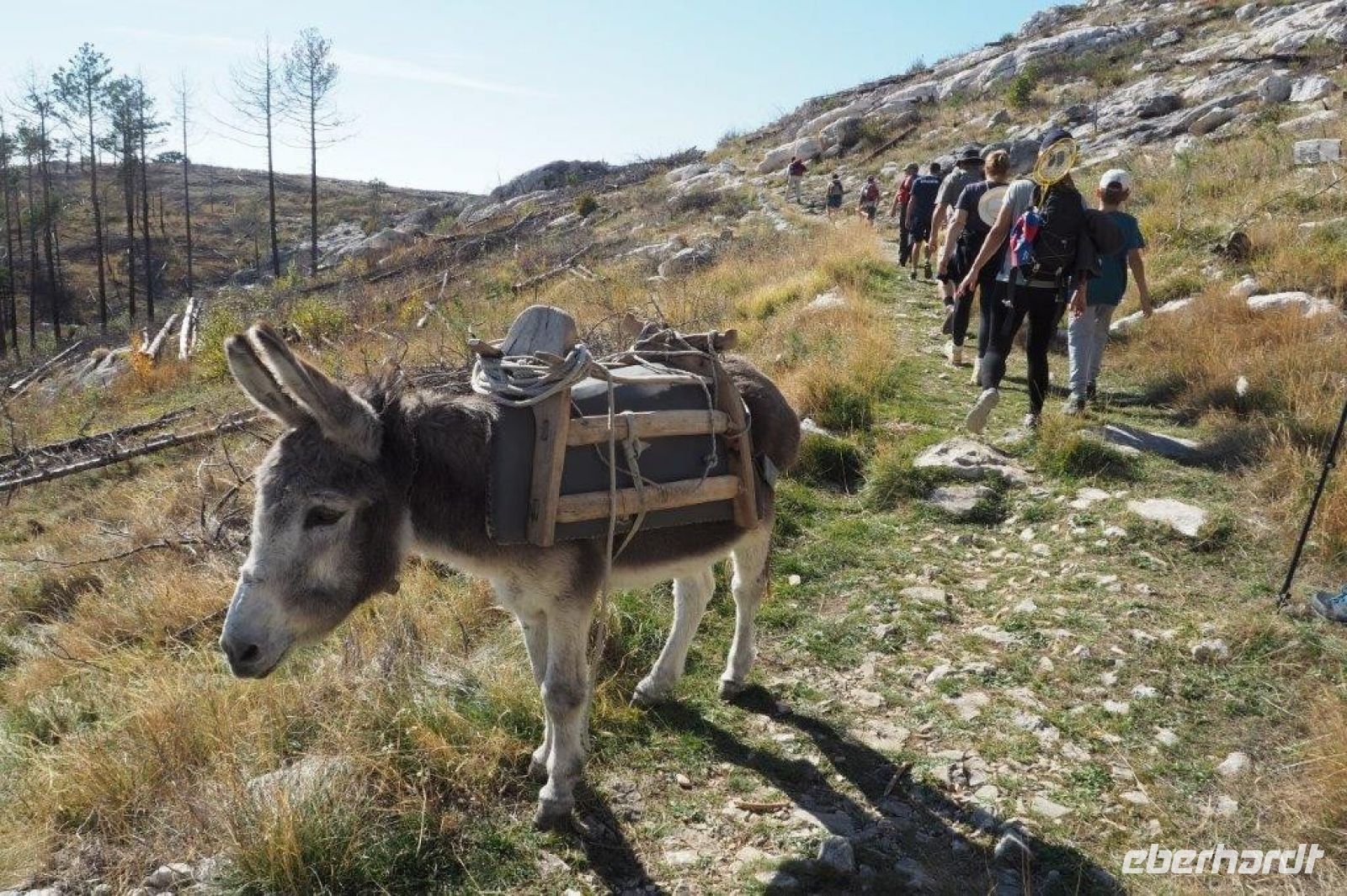 PA170088, Wanderung.jpg