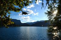 198 Bled