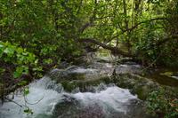 202 Krka NP
