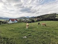 Semriach in der Steiermark, Zwischenübernachtung in Österreich