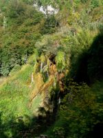 Die Farben sind magisch heute im Park, das Wetter ist perfekt