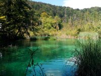 Natur pur im Nationalpark Plitvice