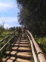 Die Holzstege steigen wir auf und ab, Plitvicer Seen