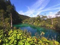 Blick über den Nationalpark Plitvice