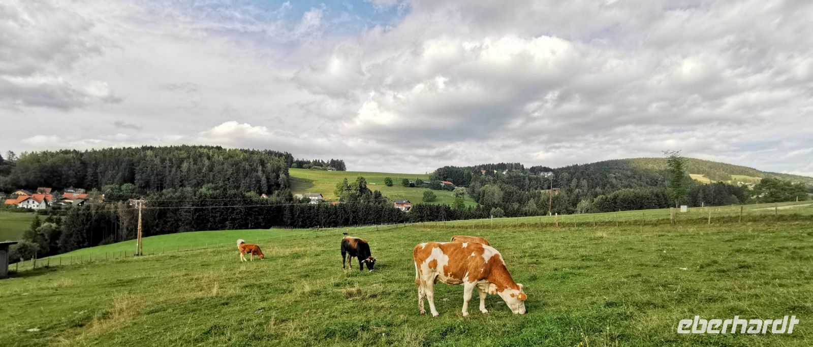 Landidylle in Semriach