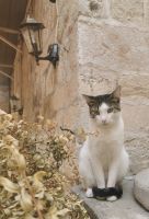 Nun rück doch mal ein Leckerli raus ...