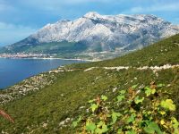 Orebic und sv. Ilija - Berg