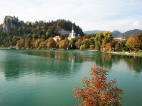 Bled