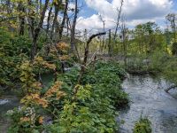 Vieles im Nationalpark trägt 