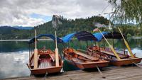 211 Bled und Bleder See, Pletnaboote
