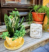 Niedliche Dekoration vor einem Laden der Hauptstadt