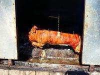Spanferkelchen kurz vor Rastoke, uns läuft das Wasser im Mund zusammen