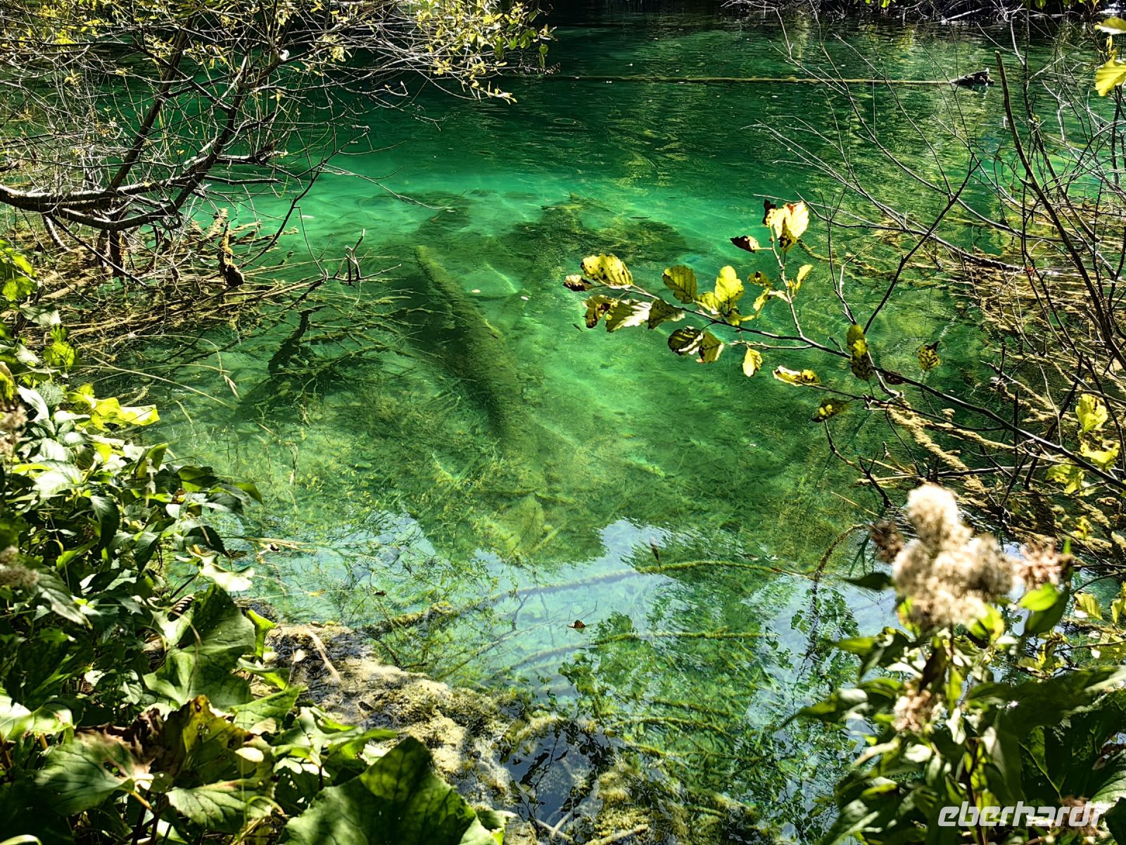 Die Farben schimmern von türkis über smaragdgrün heute in Plitvice