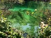Die Farben schimmern von türkis über smaragdgrün heute in Plitvice