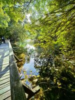 An den Krka Wasserfällen