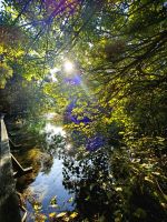 Magisches Licht im Krka Nationalpark 