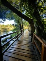 Über diese Stege laufen wir im Krka Nationalpark 