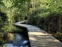 Holzsteg im Krka Nationalpark 