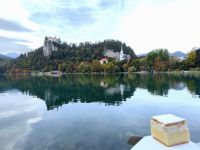 Eine Kremschnitte am Bleder See, ein Muß für jeden, der hierher kommt