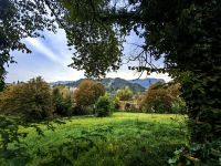 Wandern am Bleder See