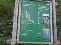 Nationalpark Plitwitzer Seen: Rundgang