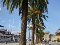 Trogir: Riva mit Festung Karmelengo