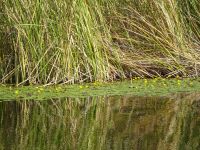 Bootsfahrt im Delta der Neretva