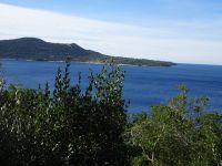 Arboretum von Trsteno