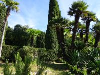 Arboretum von Trsteno