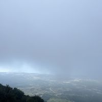  Nebel kommt und geht