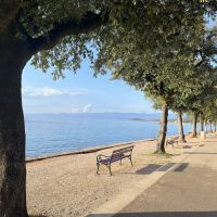  Ein wunderschöner Nachmittag