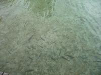 Plitvicer Seen