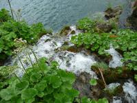 Plitvicer Seen