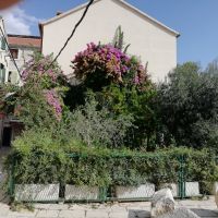 Ein Privatgarten innerhalb des Palastes