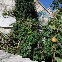 Besuch eines dalmatinischen Dorfes