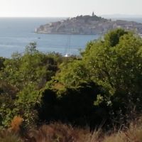 Blick auf Primosten