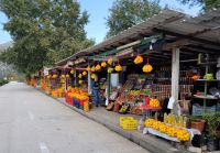 0508 Ausflug Neretva Delta