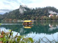 Mit diesen Pletnabooten kann man auf dem Bleder See fahren