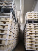 Berühmter Pager Schafskäse 