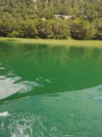 .... und noch etwas weiter .....-  Krka Fluß