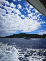 Wir sind nicht allein unterwegs....