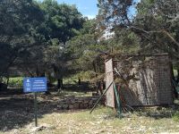 auch ein Stillleben :-)